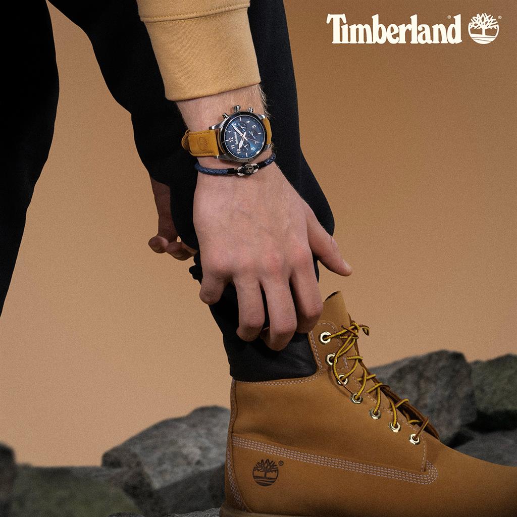 TIMBERLAND Ashmont Brown Leather Strap TDWGF0054701