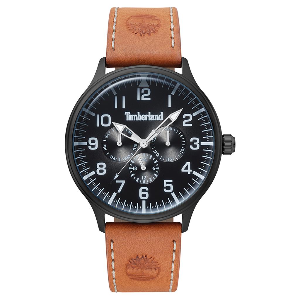 TIMBERLAND Blanchard Brown Leather Strap TBL15270JSB02